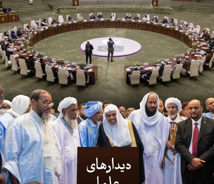 در راستای رسالت سازمان همبستگی جهان اسلام در تقویت وحدت امت اسلامی، به‌ویژه در مسائل کلان و سرنوشت‌سازی که نیازمند وحدت نظر است، نشست‌های مفتیان و علمای برجسته در فضای این سازمان