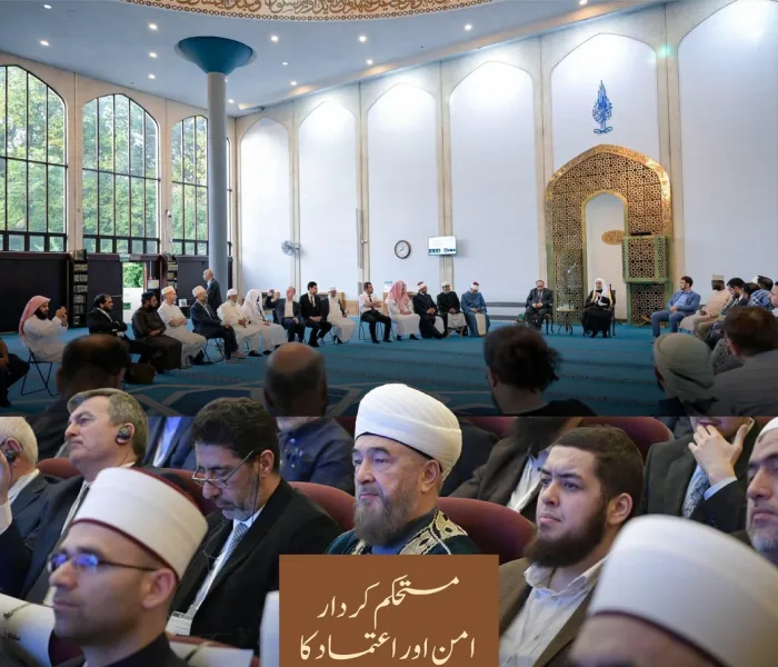 رابطہ عالم اسلامی ان ممالک میں مسلم طبقات کی معاونت کو خصوصی اہمیت دیتی ہے جہاں وہ اقلیت میں ہیں۔ یہ معاونت ان کے اور دیگر مقامی طبقات کے مابین روابط استوار کرنے کی صورت میں فراہم کی جاتی ہے