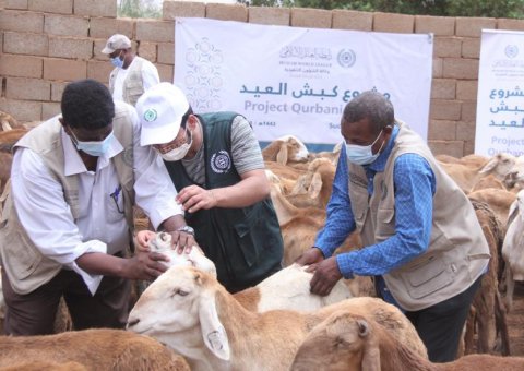 رابطة العالم الإسلامي‬⁩ مستمرة في  تنفيذ مشروع  “كبش العيد” للفقراء والمحتاجين والمتضررين من جائحة كورونا