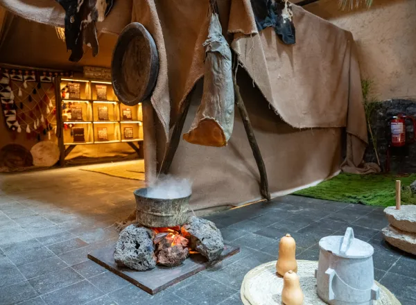 أمير منطقة المدينة المنورة يُدشّنُ المرافقَ الحديثةَ للمقرِّ الرئيس للمتحف الدولي للسيرة النبوية